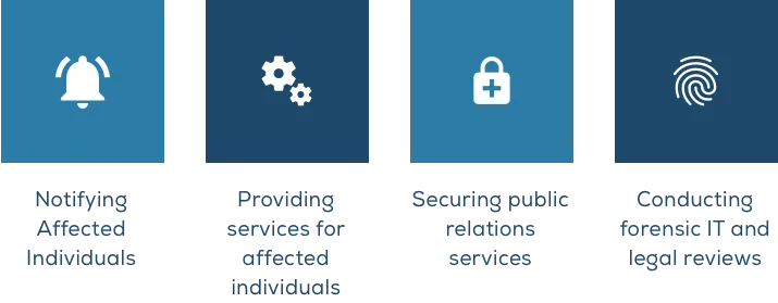 Cyber insurance coverage graphic